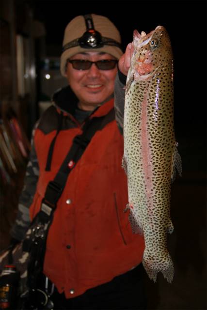 としまえんフィッシングエリア 釣果