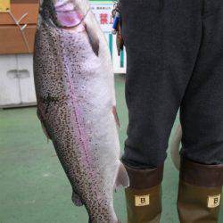 としまえんフィッシングエリア 釣果