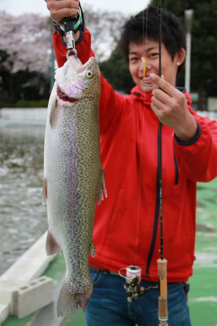 としまえんフィッシングエリア 釣果