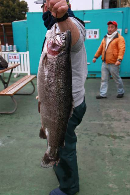 としまえんフィッシングエリア 釣果