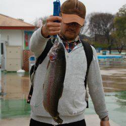 としまえんフィッシングエリア 釣果