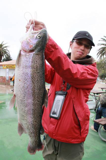 としまえんフィッシングエリア 釣果