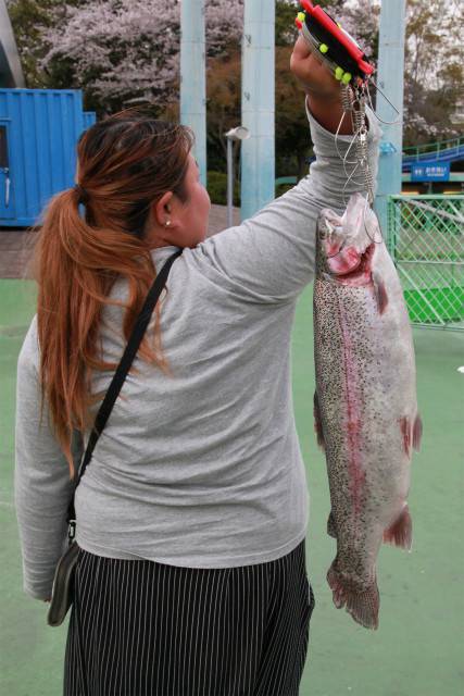 としまえんフィッシングエリア 釣果