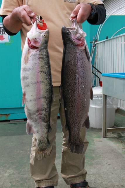 としまえんフィッシングエリア 釣果