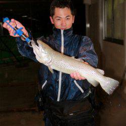 としまえんフィッシングエリア 釣果