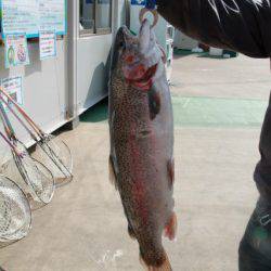 としまえんフィッシングエリア 釣果