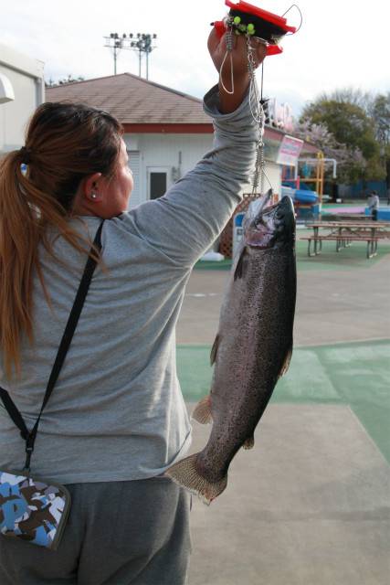 としまえんフィッシングエリア 釣果