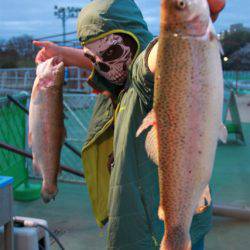 としまえんフィッシングエリア 釣果
