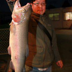 としまえんフィッシングエリア 釣果