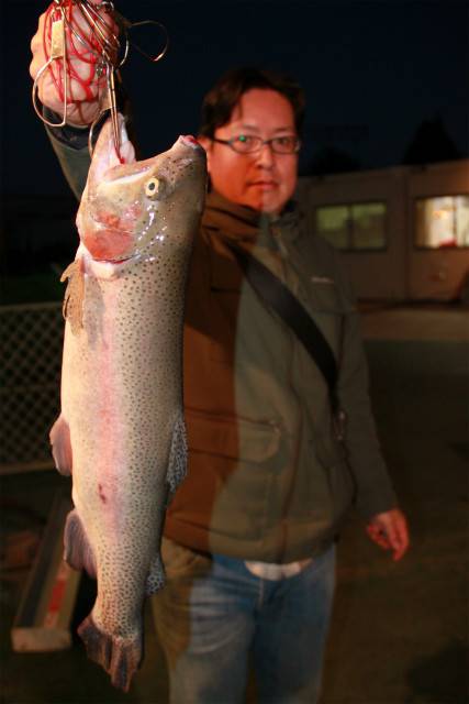 としまえんフィッシングエリア 釣果