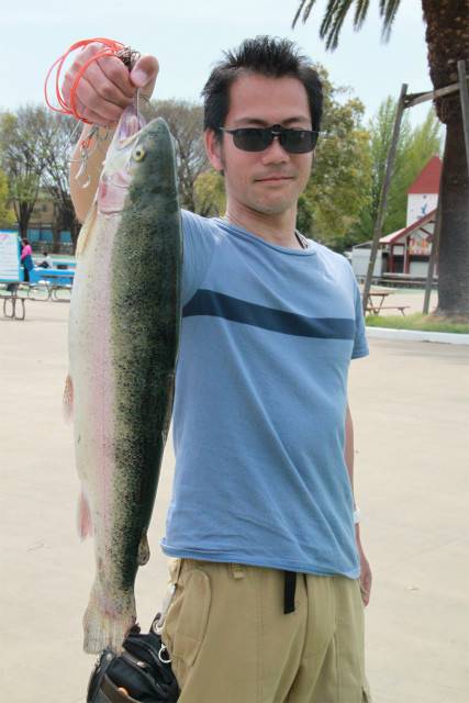 としまえんフィッシングエリア 釣果