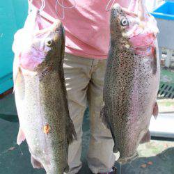 としまえんフィッシングエリア 釣果