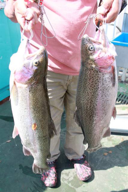 としまえんフィッシングエリア 釣果