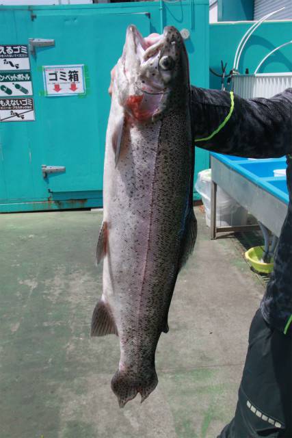 としまえんフィッシングエリア 釣果