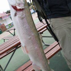 としまえんフィッシングエリア 釣果