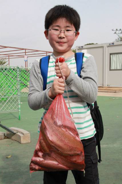 としまえんフィッシングエリア 釣果