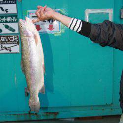 としまえんフィッシングエリア 釣果