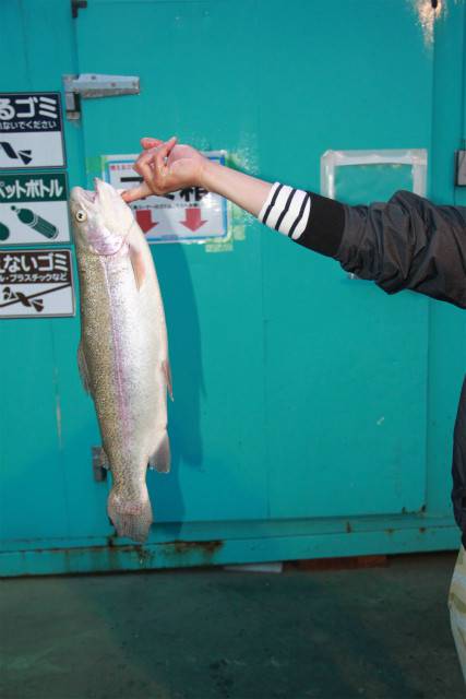 としまえんフィッシングエリア 釣果