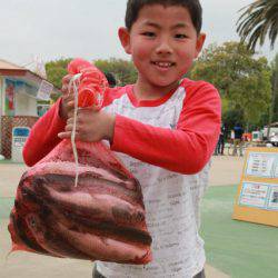 としまえんフィッシングエリア 釣果