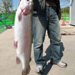 としまえんフィッシングエリア 釣果