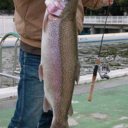 としまえんフィッシングエリア 釣果