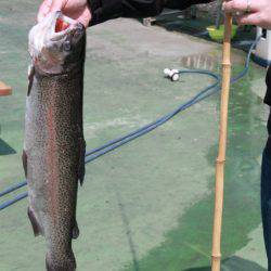 としまえんフィッシングエリア 釣果