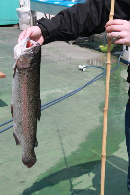 としまえんフィッシングエリア 釣果