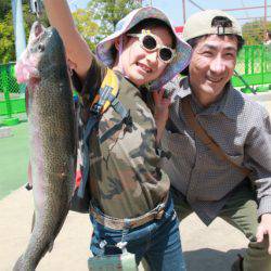 としまえんフィッシングエリア 釣果