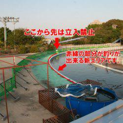 としまえんフィッシングエリア 釣果