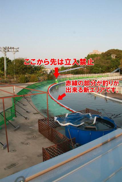 としまえんフィッシングエリア 釣果