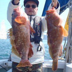 フィッシング キッタカ 釣果