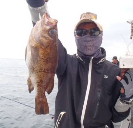 フィッシング キッタカ 釣果