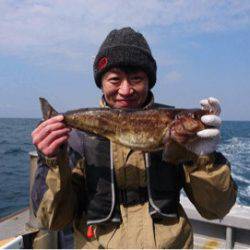 シーランチ 釣果