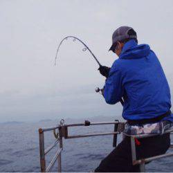 渡船屋たにぐち 釣果