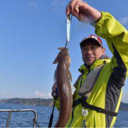 渡船屋たにぐち 釣果