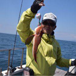 渡船屋たにぐち 釣果
