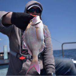 渡船屋たにぐち 釣果