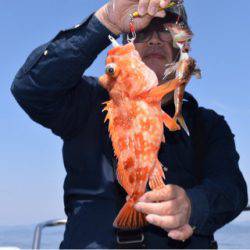 渡船屋たにぐち 釣果