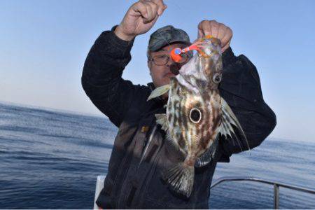 渡船屋たにぐち 釣果