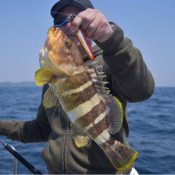 渡船屋たにぐち 釣果