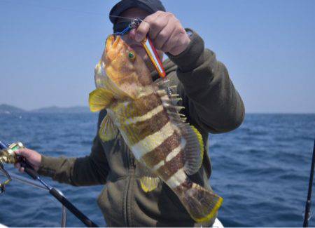 渡船屋たにぐち 釣果