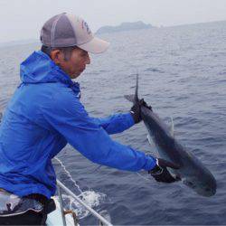 渡船屋たにぐち 釣果