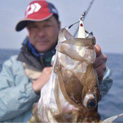 渡船屋たにぐち 釣果