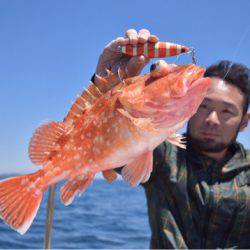 渡船屋たにぐち 釣果