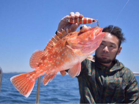 渡船屋たにぐち 釣果