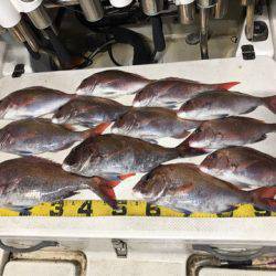 Monster Rush! 釣果