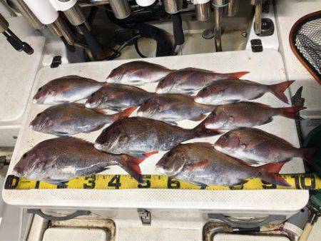 Monster Rush! 釣果