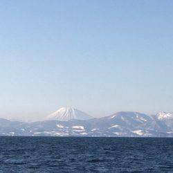 シーランチ 釣果