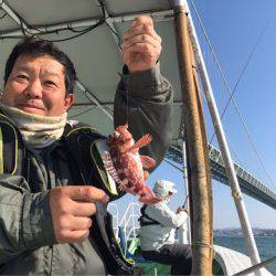 ヤザワ渡船 釣果