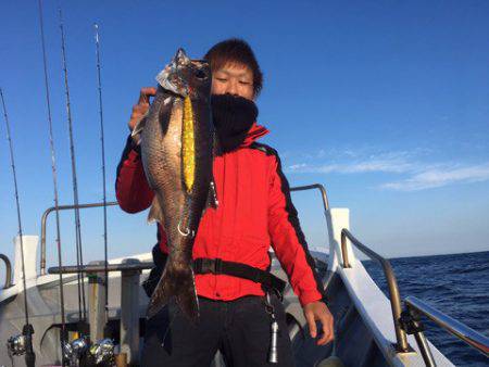 ＴＡＲＯＭＡＲＵ 釣果